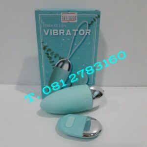 รหัส DX169 ไข่สั่นไร้สายพรีเมี่ยม